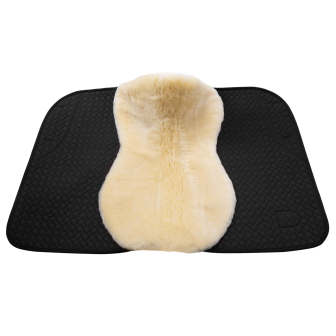 TAPIS CHAMP DRESSAGE 