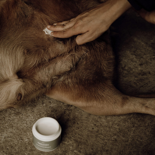 BAUME NATUREL PEAU SENSIBLE POUR CHIEN 50ML