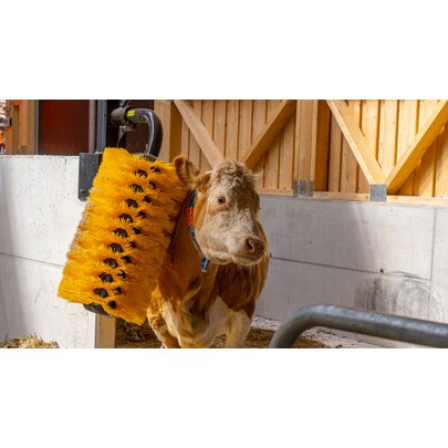 BROSSE DE GRATTAGE PIVOTANTE PATURA