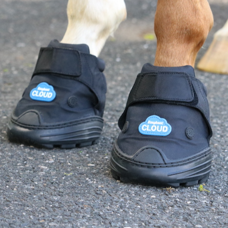 EASYBOOT CLOUD TAILLE 00
