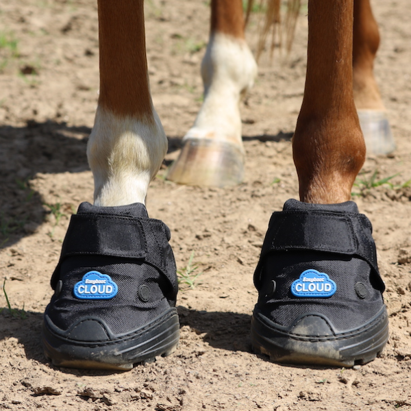 EASYBOOT CLOUD TAILLE 0