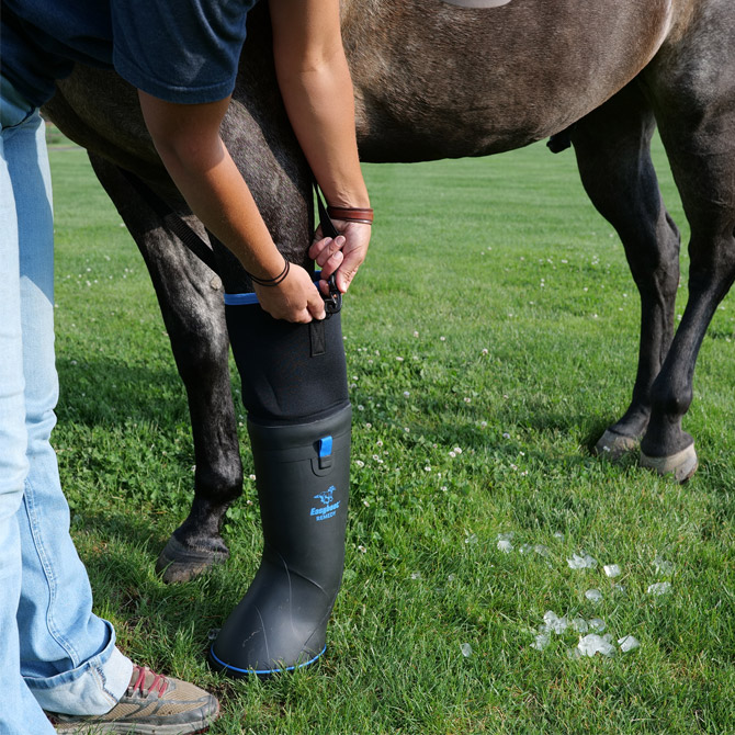 BOTTE DE SOIN HAUTE POUR CHEVAUX TAILLE M