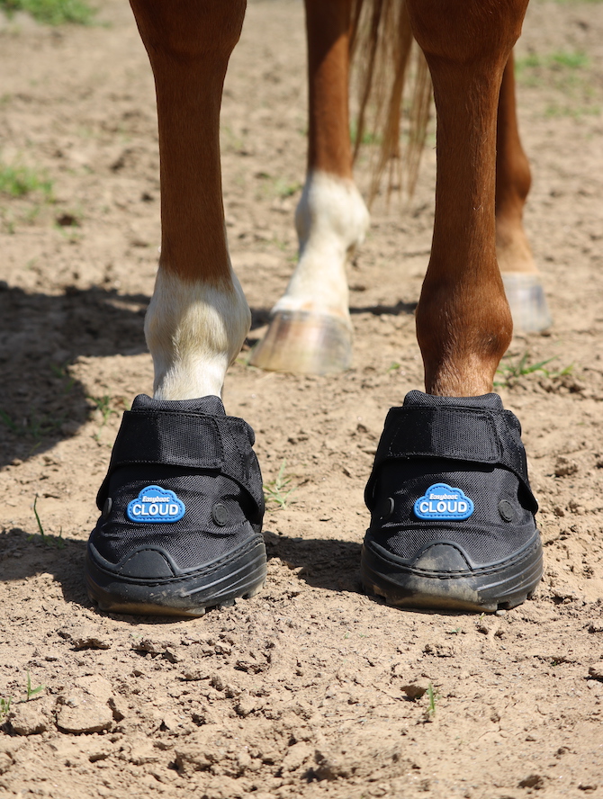 EASYBOOT CLOUD TAILLE 1
